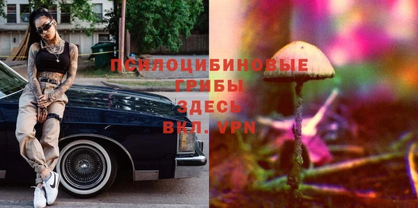 кокс Алексин
