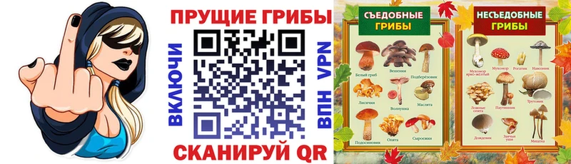 Псилоцибиновые грибы ЛСД  купить закладку  Алушта 