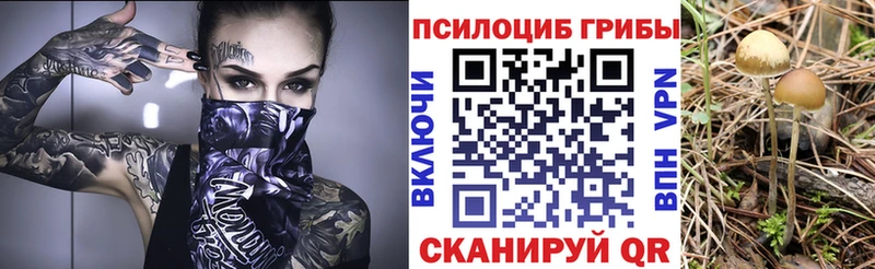 Псилоцибиновые грибы MAGIC MUSHROOMS Алушта